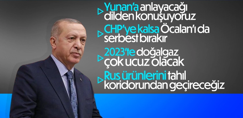Erdoğan, Balkan turu sonrası gazetecilere konuştu: Yunanistan'a anlayacakları dilden konuşuyoruz
