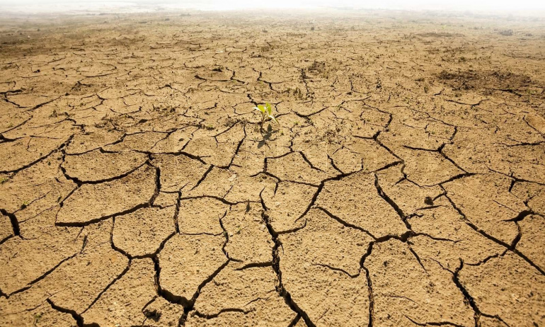 ABD'de 1200 yıldır görülmeyen bir iklim felaketi: Mega kuraklık....