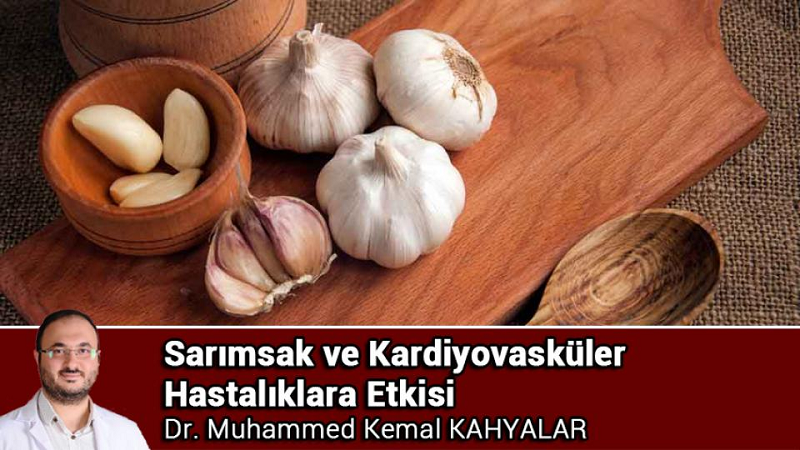 Dr.Muhammed Kemal Kahyalar Yazdı: Sarımsak ve Kardiyovasküler Hastalıklara Etkisi..