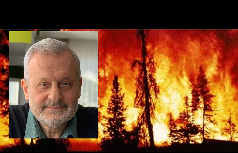 Vedat Kahyalar’la orman yangınlarını konuştuk: Orman Yangınlarına Hazır Mıyız?   